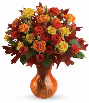 Teleflora's Fabulous Fall Roses